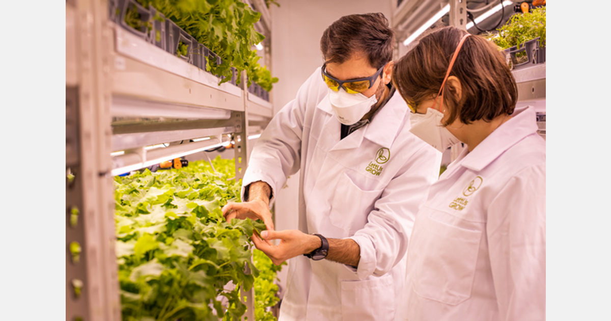 New partnership to set sights on commercial greenhouse marketLettUs Grow, an indoor farming technology provider in Bristol, has partnered with H...