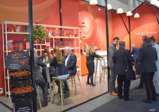 Looye, famous for the dutch Honey tomatoes