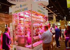 It is the LivingCube, originating from a collaboration between DelFrescoPure & CubicFarms