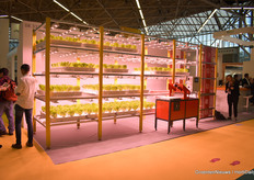  “We offer a whole system for plant factories”, Alice Ou, director of Eponic tells us.