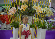 Orchids are loved in Vietnam! 