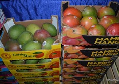 Traditional mango box