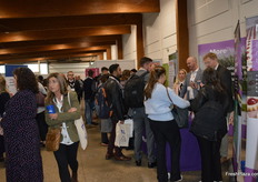 Very busy in the careers hall