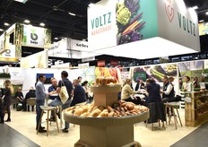 The range of squash varieties from Voltz Maraîchage