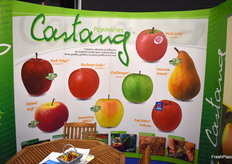 The stand of Castang