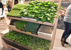 Products from the Voltz Maraîchage stand.