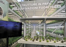 P-Trex fiberglass structures