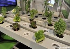 To support the seedlings, fiberglass structures from P-Trex