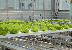 ... movable gutters, a climate and PAR sensor, a camera to make crop images and ... 