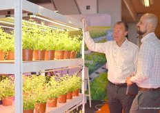 Joachim from Wivid, manufacturer of LED horticultural lamps with high-performance lighting fixtures