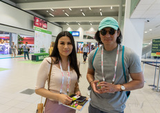 In Azerbaijan they are professionally growing young vegetable plants