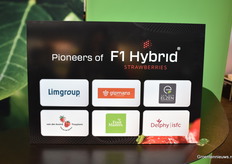 The new Limgroup strawberry hybrid