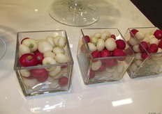 Red and white radish of Enza Zaden