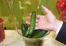 Cucumbers of special size
