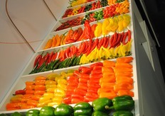 Products of Westland Seeds