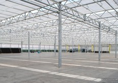 In winter, the place is full of bedding plants.