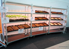 Some of the various tests of Proeftuin Zwaagdijk