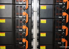 Those who looked closely at the fair saw that many batteries are equipped with the same battery cells.