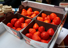 There it is, the Baya Solara