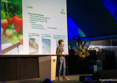 Stef Laurijsen of Proefcentrum Hoogstraten on energy saving in early strawberry production
