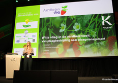 Iza de Bruijn zoomed in on whitefly in strawberry cultivation on behalf of Koppert.