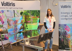 Alja van de Schuren (Voltiris). The smart Voltiris modules reduce plant temperature, by converting heat radiation into solar energy.
