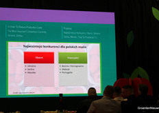 What are Poland's competitors in the raspberry market and where do they see opportunities?