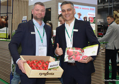 Gabriel Chojnacki and Tomasz Górski (Syngenta) with the pink tomato variety Malistar. Still the majority of tomato crops in Poland are focused on pink varieties. Malistar is a rugose resistant pink tomato variety.