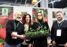 Salvi Vivai supplies strawberry plants in Poland.