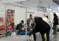 Geoplant Vivai brought strawberry starting material to talk to fair visitors about.