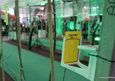 Trap-ID in the orchard on TSW.