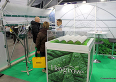 Haygrove brought a tunnel greenhouse as a stand.
