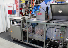 Packing onions at Sorpac, which indicated with a flag in its booth that it had received EU funding.