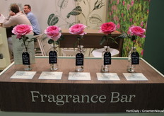 If pictures could smell, David Austin