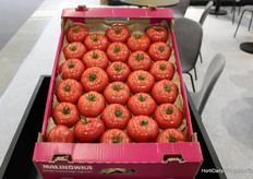 Guess which exhibition hall this picture was taken in?