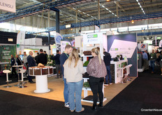 Update on substrate developments could be at Lensli and MeeGaa Substrates