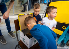 Always loved: finding the queen of bumblebees