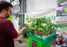 At KIDK Asten, four nurseries and technology company Cogas opened their doors. In addition, numerous suppliers and growers from the area supported the event, including BrabanPlant. Just a quick look to see if they are there.