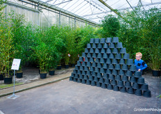 This, and then kicking over.