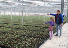 There no there. Look how beautiful