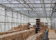 Almost ready for transport