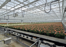 Harg & Roses' newest location was commissioned in late 2024.