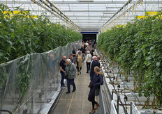 With some safety measures with hygiene in mind, it was still possible to experience the real tomato experience in the greenhouse at Bryte, location Greenforce.