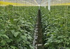 View from the skybox at Bryte, location Greenforce