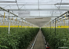 Places in the skybox at Bryte on Saturday were popular, but free, and accessible to any visitor without fear of heights.