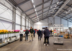 Where the colourful gerberas were already waiting