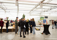 The biggest tulip forest in the making