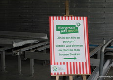 Popcorn and a movie, anything goes in this cinema greenhouse!