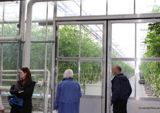 Through the corridor, there was excellent view of the tomato plants.