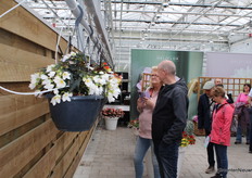 Many visitors enjoy taking photos of all the beautiful plants.